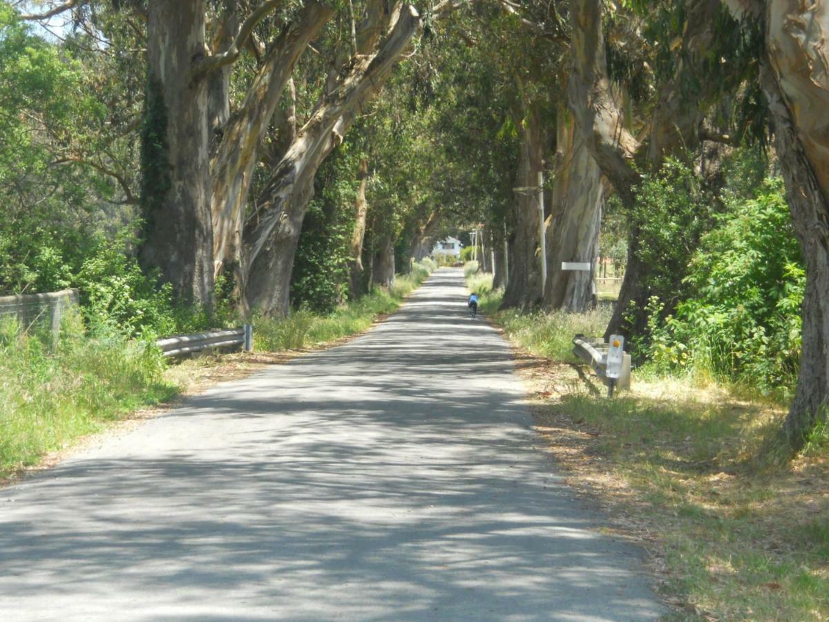 Pescadero Creek Inn Bagian luar foto
